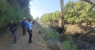 البحث عن تمساح شبرامنت بالجيزة يتواصل دون نتائج
