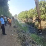 استئناف البحث عن تمساح شبرامنت بعد توقفه
