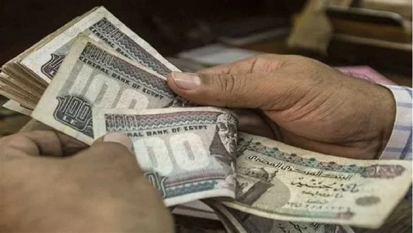 تفاصيل اللائحة التنفيذية لضمان الدعم النقدي