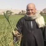 نهضة زراعية شاملة في مصر خلال 12 عاماً
