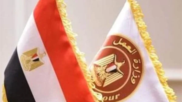 فرص عمل بمرتبات تصل إلى 9700 جنيه في قطاع الأغذية