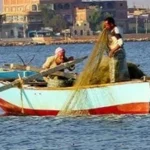 صيد زريعة الأسماك: القوانين والشروط الجديدة