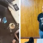 القبض على شخص اعتدى على كلب بالإسكندرية