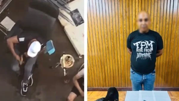 القبض على شخص اعتدى على كلب بالإسكندرية