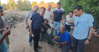 الإمساك بتمساح شبرامنت في الجيزة بعد بحث مطول