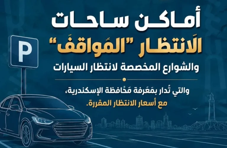 الإسكندرية تعلن 34 موقفًا رسميًا و50 ساحة انتظار