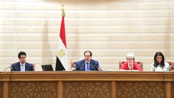 أبو العينين: القضية الفلسطينية جوهر الصراع في الشرق الأوسط