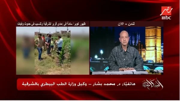 ظهور الكوبرا المصرية في الصيف: نصائح للحد من خطرها