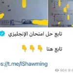 تزايد الغش في امتحان الإنجليزية ثانوية عامة 2026