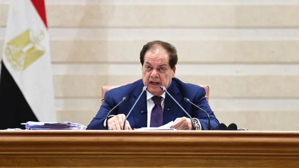 أبو العينين: نحو سلام عادل في الشرق الأوسط