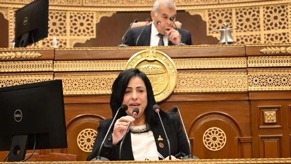 أهمية بناء المؤسسات القوية لحماية الدولة المصرية