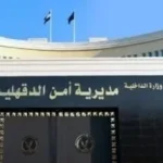 ضبط تشكيل إجرامي في الدقهلية بحوزته مخدرات وأسلحة
