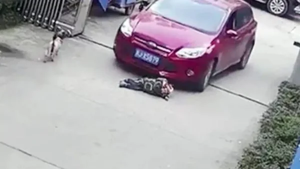 استغاثة شاب من اعتداء والده في الشيخ زايد