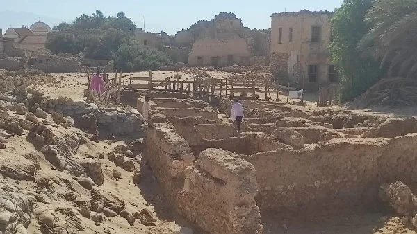 اكتشاف حفرية تكشف عن كائنات طائرة في سماء مصر