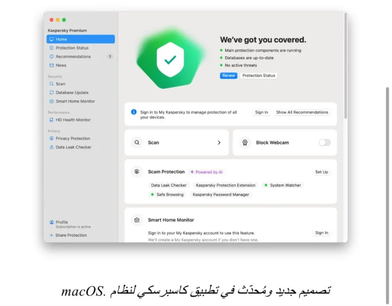 شبكة الإنترنت في مصر: 54% من المستخدمين تعرضوا للاحتيال