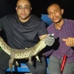 نصائح لمواجهة تماسيح وورل نيلي في المجرى المائي