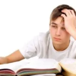 تحرك لحل أزمة تكدس الشاحنات بميناء نيوم