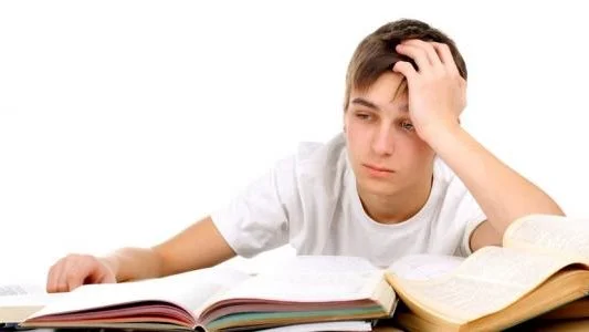 تحرك لحل أزمة تكدس الشاحنات بميناء نيوم