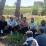 جهود زراعة الفيوم لتنمية القطاع الزراعي