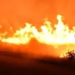 حرائق الغابات تعصف بجنوب أوروبا وقلق إسرائيلي من جاهزية الجيش