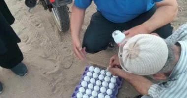 حملة مكثفة لمكافحة الثعابين في المنوفية
