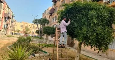 بورسعيد تُوسّع من رقعتها الخضراء بمبادرة 100 مليون شجرة