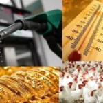 أسعار البنزين والسولار وأخبار الطقس والذهب