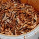 ضبط 324 كيلو جرامًا من اللحوم والأسماك غير الصالحة في المنيا