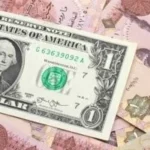 استقرار سعر الدولار أمام الجنيه المصري اليوم
