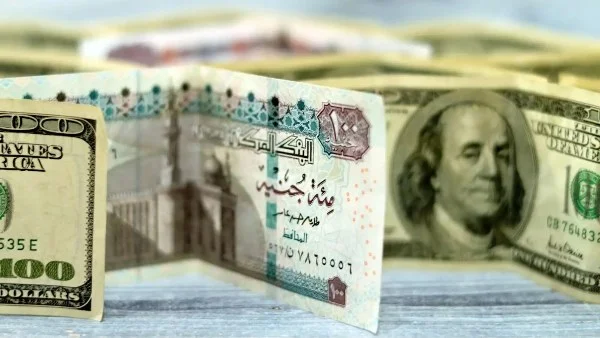 استقرار سعر الدولار في البنوك المصرية