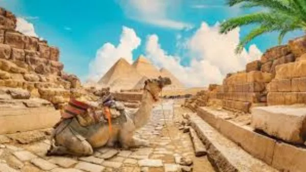 مشاركة مصر في معرض "TITF" بأوزبكستان