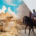 مشاركة مصر في معرض IMEX بلاس فيجاس