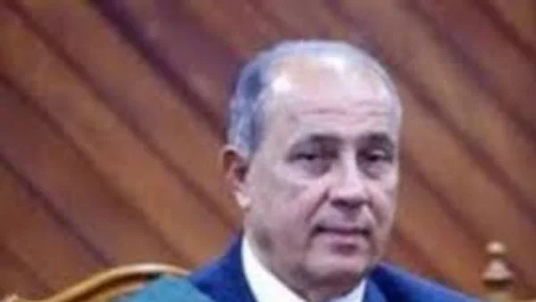 تأجيل محاكمة 222 متهماً في قضية خلية الإخوان