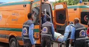 مصرع شخص في تصادم بالبرامون بالدقهلية