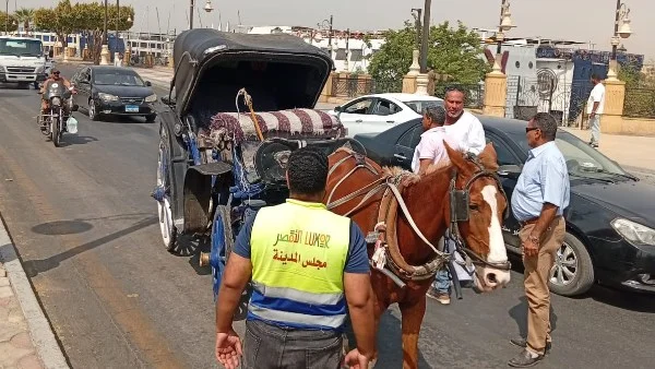 ضبط فوضى عربات الحنطور في الأقصر