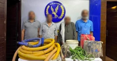 ضبط 4 أشخاص أثناء تنقيبهم عن الآثار في القاهرة