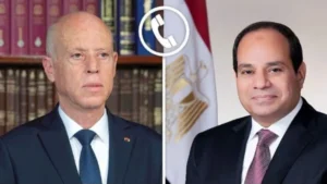 السيسي وسعيد يؤكدان على الحلول السياسية لأزمات المنطقة
