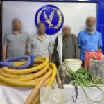 القبض على عصابة تنقيب عن الآثار في التبين