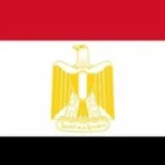 مصر تدعو لدعم خطة ترامب بشأن غزة في مجلس الأمن