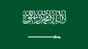 الدفاع السعودية تعلن تدمير مسيّرات معادية