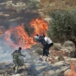 اعتداءات المستوطنين وقوات الاحتلال في الضفة الغربية