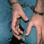 حبس أصحاب فيديو المخدرات في القليوبية