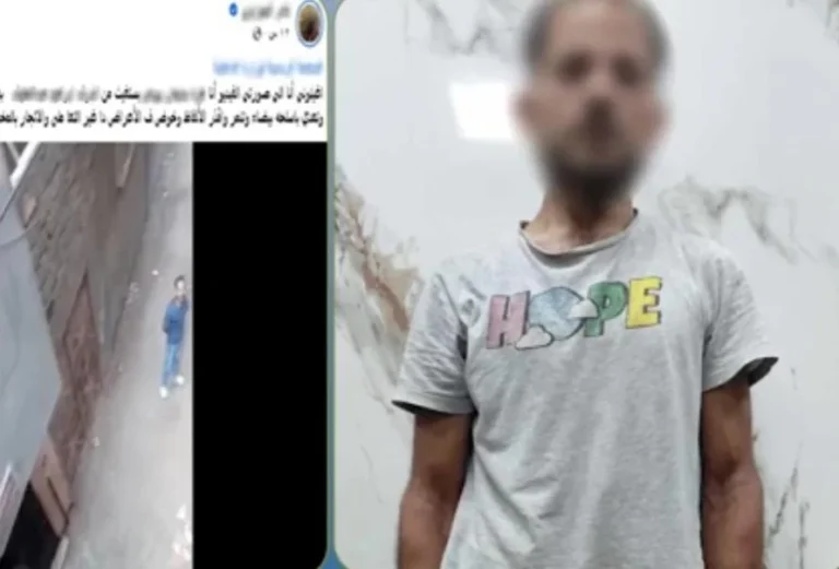 سيدة تدعي اعتداء تاجر مخدرات لجذب الانتباه في الدقهلية