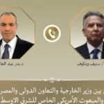 وزير الخارجية المصري يناقش خفض التصعيد مع المبعوث الأمريكي