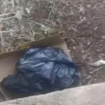 كيس بلاستيك يكشف جريمة صادمة في أسيوط
