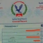 استخراج فيش وتشبيه أونلاين خلال 72 ساعة