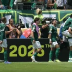 بالميراس ينتصر على فيتوريا في الدوري البرازيلي