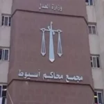 الإعدام لعاطل قتل جارته بساطور في أسيوط