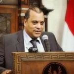 الفضالي: حادث دمياط محاولة للمساس بأمن مصر القومي