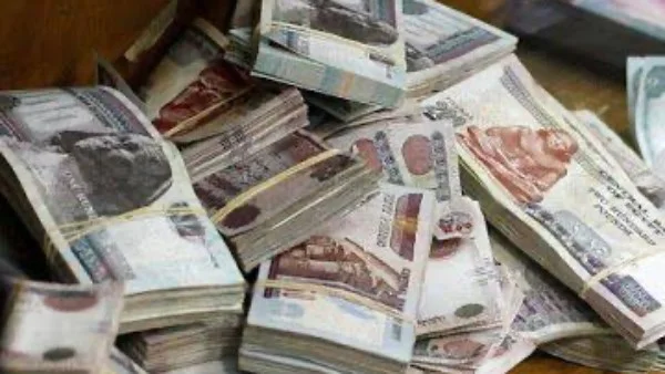 تفاصيل اختلاس أموال من بنك ومؤسسة صناعية